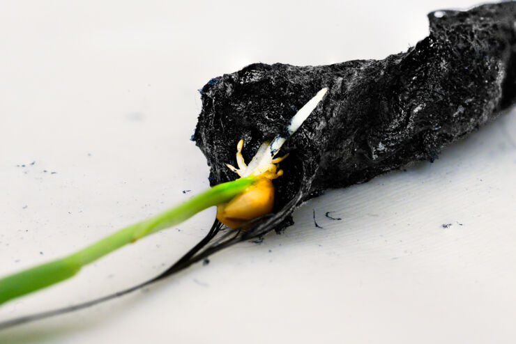 eSoil sustrato eléctrico suelo|eSoil sustrato eléctrico suelo